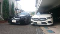 news557702